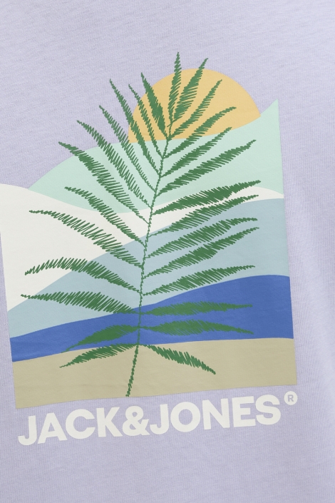 Jack & Jones jjbarbados tee ss crew neck